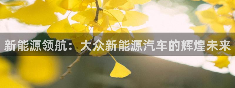 宝新gg:新能源领航:大众新能源汽车的辉煌未来