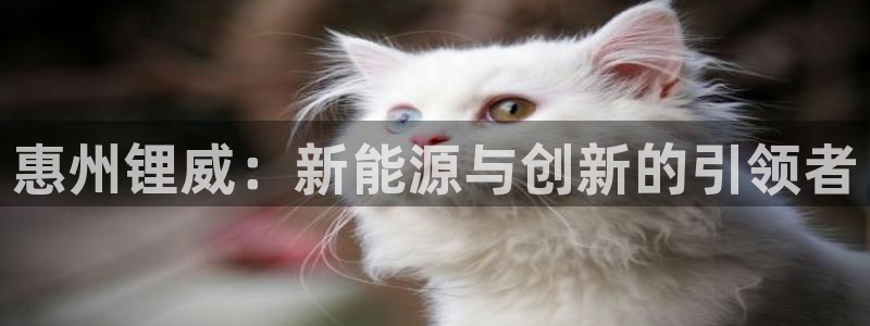 新宝gg测速登录:惠州锂威:新能源与创新的引领者