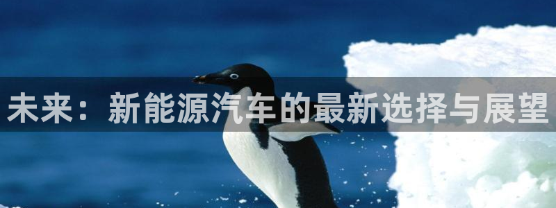 新宝gg娱乐客户端下载