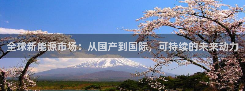 新宝gg测试:全球新能源市场:从国产到国际,可持续的未来动力