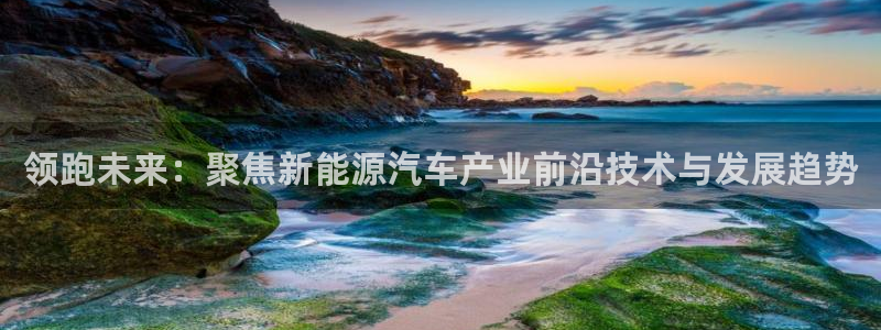 新宝gg官方:领跑未来:聚焦新能源汽车产业前沿技术与发展趋势