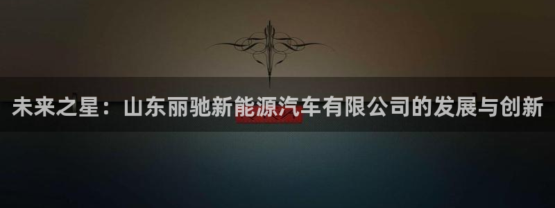 新宝gg创造奇迹登陆:未来之星:山东丽驰新能源汽车有限公司的