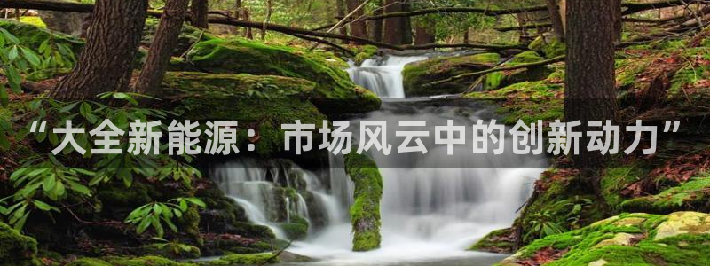 新宝gg代理:“大全新能源:市场风云中的创新动力”