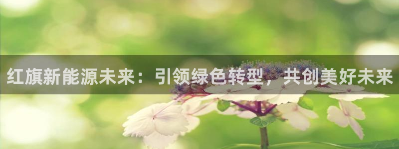 新宝GG娱:红旗新能源未来:引领绿色转型,共创美好未来