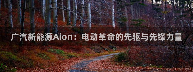 新宝gg登录网址:广汽新能源Aion:电动革命的先驱与先锋力