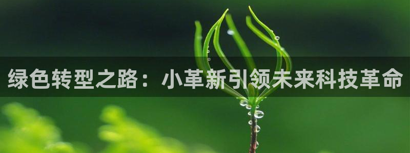 注册新宝gg:绿色转型之路:小革新引领未来科技革命