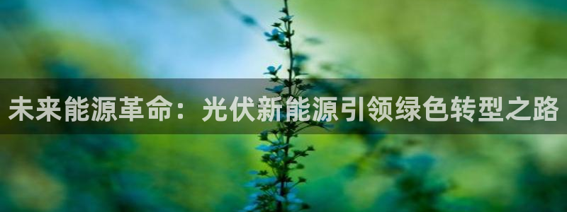 娱乐世界新宝gg:未来能源革命:光伏新能源引领绿色转型之路
