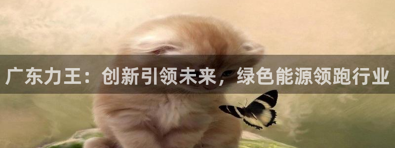 新宝GG扩展78778:广东力王:创新引领未来,绿色能源领跑