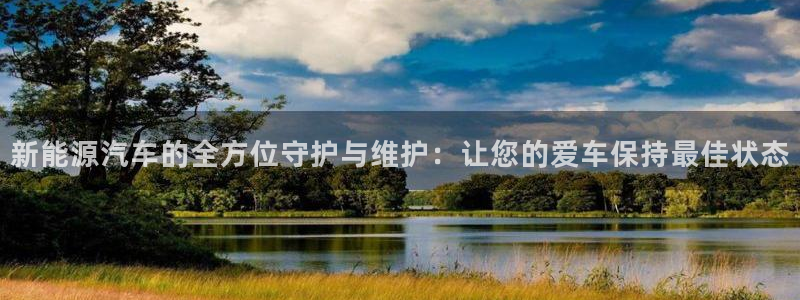 新宝gg奖金:新能源汽车的全方位守护与维护:让您的爱车保持最