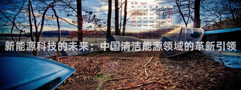 xbgg新宝gg:新能源科技的未来:中国清洁能源领域的革新引