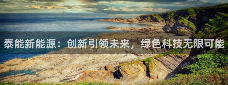 11新宝gg:泰能新能源:创新引领未来,绿色科技无限可能