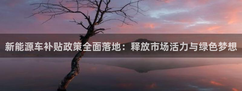 新宝gg手机官网登录:新能源车补贴政策全面落地:释放市场活力