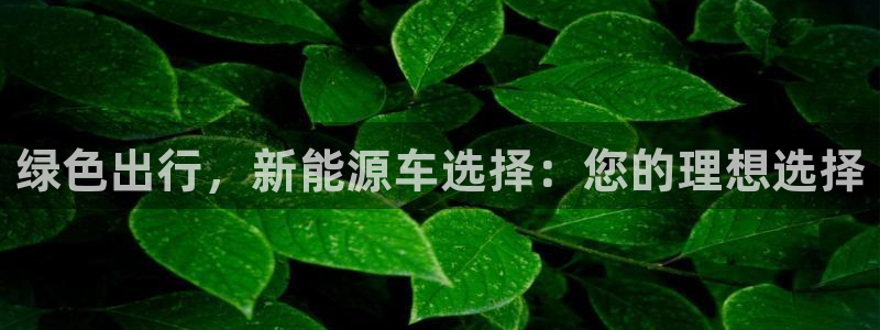 手机新宝gg:绿色出行,新能源车选择:您的理想选择