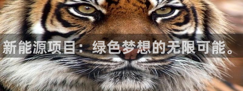 gg新宝6:新能源项目:绿色梦想的无限可能。