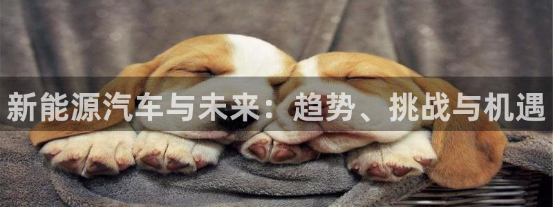 新宝gg打发:新能源汽车与未来:趋势、挑战与机遇