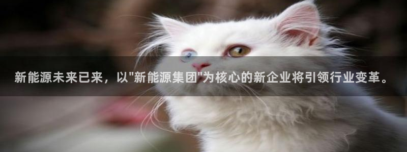 新宝gg新宝5:新能源未来已来,以\"新能源集团\"为核心的