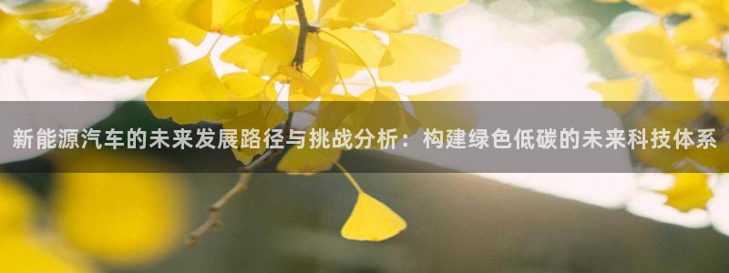 新宝gg地址:新能源汽车的未来发展路径与挑战分析:构建绿色低