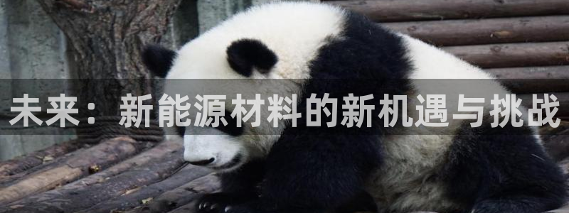 新宝一gg测速:未来:新能源材料的新机遇与挑战