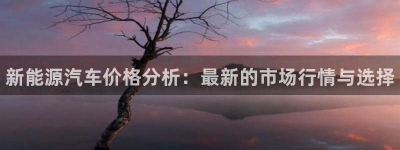 新宝GG53339咨询新宝GG:新能源汽车价格分析:最新的市