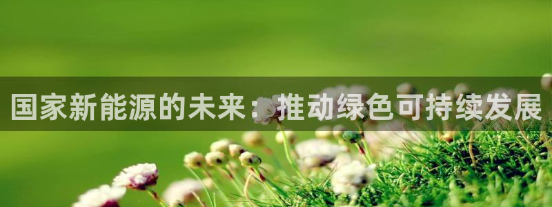 新宝gg—登录:国家新能源的未来:推动绿色可持续发展