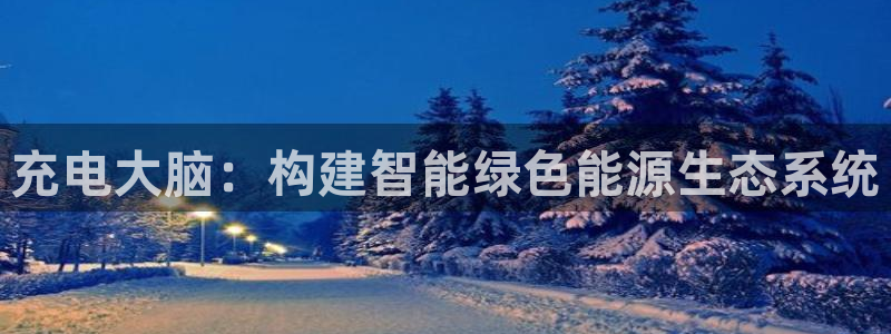 新宝gg-创业奇迹:充电大脑:构建智能绿色能源生态系统