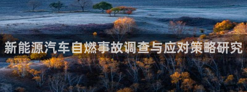 新宝gg返点1956是多少