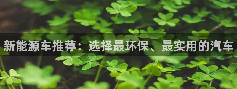 娱乐世界新宝gg：新能源车推荐：选择最环