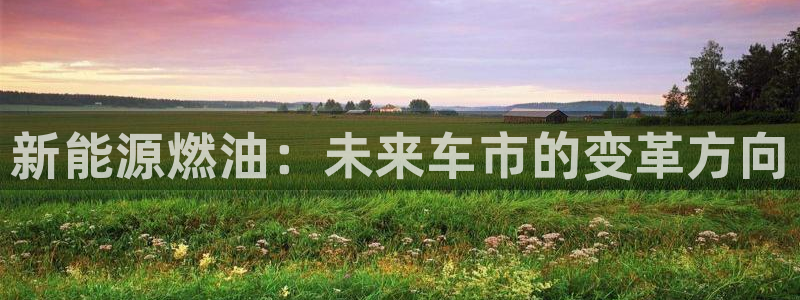 新宝gg作弊：新能源燃油：未来车市的变革