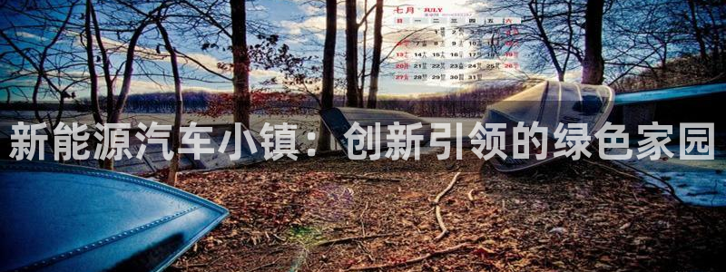 新宝gg 平台怎么样