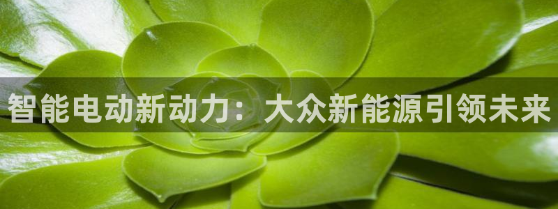 新宝gg手机版下载