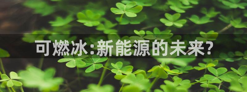 新宝gg 平台怎么样