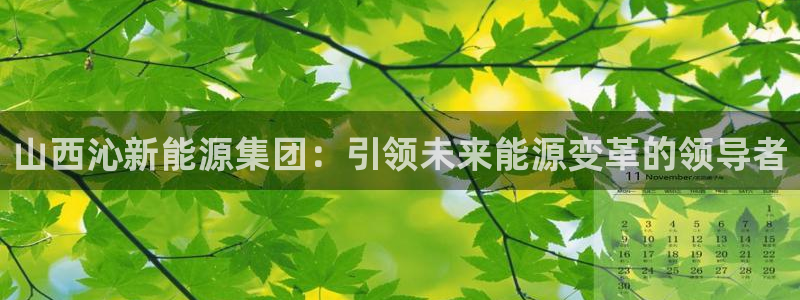 新宝gg官方下载