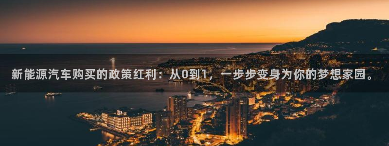 新宝平台gg：新能源汽车购买的政策红利：